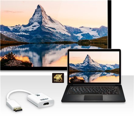 Aten VC986B True 4K DisplayPort to HDMI 2.0 Active Adapter Aten VC986B True 4K DisplayPort to HDMI 2.0 Active Adapter