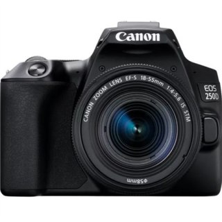 Canon EOS | 250D | Obiektyw EF-S 18-55mm IS STM | Brązowy | Srebrny