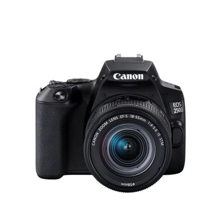 Canon EOS | 250D | Obiektyw EF-S 18-55mm IS STM | Brązowy | Srebrny