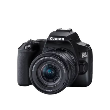 Canon EOS | 250D | Obiektyw EF-S 18-55mm IS STM | Brązowy | Srebrny