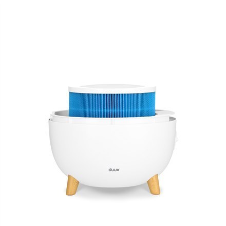 Duux | Filtr do nawilżacza ewaporacyjnego Ovi | Odpowiedni do nawilżacza ewaporacyjnego Ovi | Niebieski Duux | Filtr do nawilżacza ewaporacyjnego Ovi | Odpowiedni do nawilżacza ewaporacyjnego Ovi | Niebieski