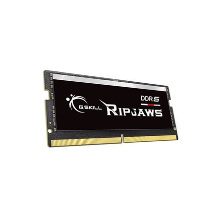 G.Skill | 64GB (32GBx2) GB | DDR5 | 4800 MHz | Notebook | Registered No | ECC No G.Skill | 64GB (32GBx2) GB | DDR5 | 4800 MHz | Notebook | Registered No | ECC No