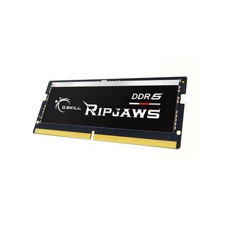 G.Skill | 64GB (32GBx2) GB | DDR5 | 4800 MHz | Notebook | Registered No | ECC No G.Skill | 64GB (32GBx2) GB | DDR5 | 4800 MHz | Notebook | Registered No | ECC No