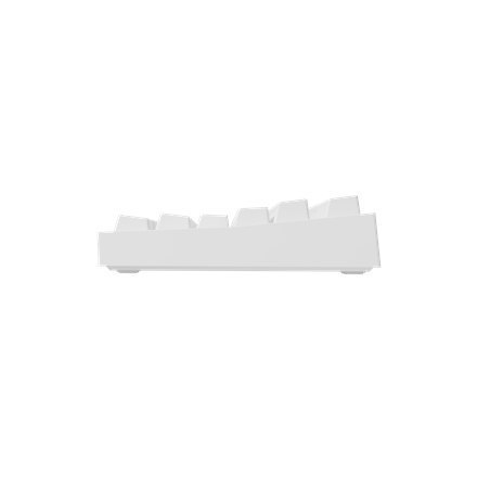 Genesis | White | Mechanical Gaming Keyboard | THOR 404 TKL RGB | Mechanical Gaming Keyboard | Wired | US | USB Type-A | 1005 g