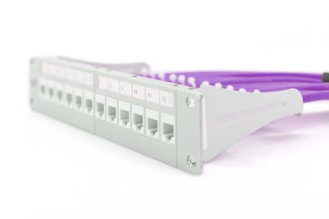 Kabel instalacyjny Digitus Cat.6 U/UTP, 305 m, simplex, Eca (EN 50575), AWG 23/1, pudełko papierowe 305 m, SX, fioletowy | Digit Kabel instalacyjny Digitus Cat.6 U/UTP, 305 m, simplex, Eca (EN 50575), AWG 23/1, pudełko papierowe 305 m, SX, fioletowy | Digit