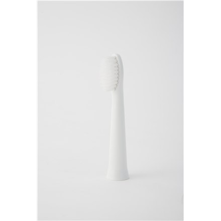 Panasonic | WEW0972W503 | Główka szczoteczki | Główki | Dla dorosłych | Liczba główek szczoteczki w zestawie 2 | Liczba trybów s Panasonic | WEW0972W503 | Główka szczoteczki | Główki | Dla dorosłych | Liczba główek szczoteczki w zestawie 2 | Liczba trybów s