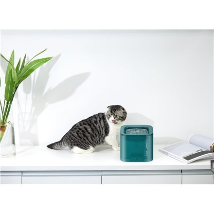 PETKIT | Eversweet Solo | Smart Pet Drinking Fountain | Pojemność 1.8 L | Materiał Plastik | Zielony PETKIT | Eversweet Solo | Smart Pet Drinking Fountain | Pojemność 1.8 L | Materiał Plastik | Zielony