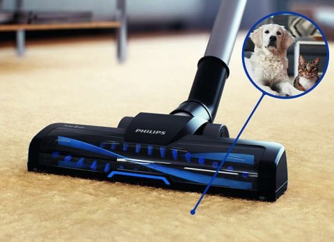 Philips | PowerPro Active FC9556/09 | Vacuum cleaner | Bagless | Power 750 W | Dust capacity 1.5 L | Blue Philips | PowerPro Active FC9556/09 | Vacuum cleaner | Bagless | Power 750 W | Dust capacity 1.5 L | Blue