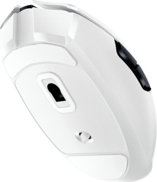 Razer | Optical Gaming Mouse | Orochi V2 | Wireless | Wireless (2.4GHz and BLE) | White | Yes