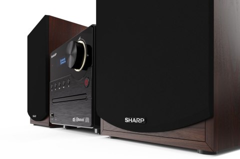 Sharp | Hi-Fi Micro System | XL-B517D(BR) | USB port | AUX in | Bluetooth | CD player | Brown | FM radio | Wireless connection