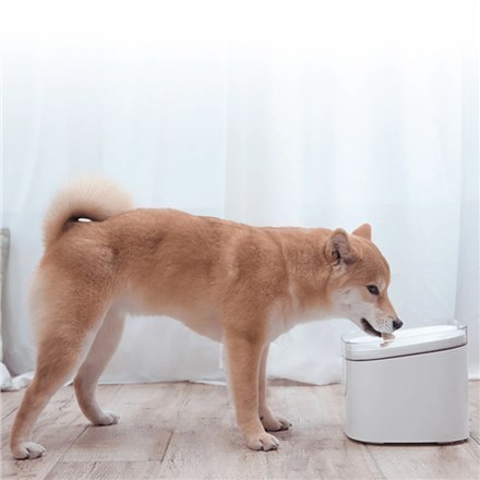 Xiaomi | BHR6161EU | Smart Pet Fountain EU | Capacity 2 L | Material | White Xiaomi | BHR6161EU | Smart Pet Fountain EU | Capacity 2 L | Material | White