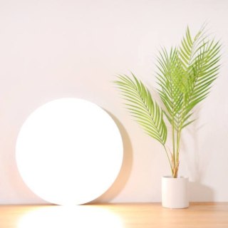 Xiaomi | Mi Smart Ceiling Light | BHR4118GL | Max. 3100 lm | 2700-6000 K | Led Light | 100-240 V