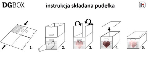 Pudełko kartonowe personalizowane DGBOX SZARE