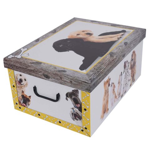 Pudełko kartonowe MAXI PIESKI LABRADOR ŻÓŁTA RAMKA Pudełko kartonowe MAXI PIESKI LABRADOR ŻÓŁTA RAMKA