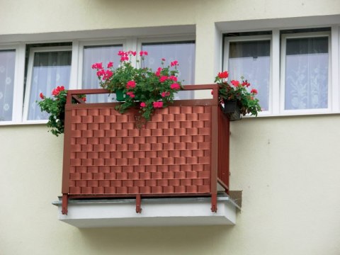 Taśma ogrodzeniowa 50mb Thermoplast® CLASSIC LINE 4,75cm BRĄZ