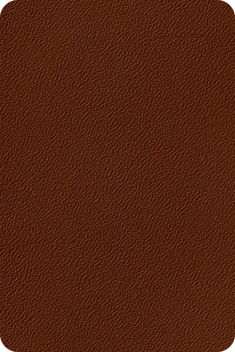 ORANGE 19cm 26mb BRĄZ