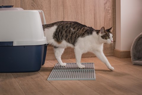 Mata 30x30cm przed kuwetę JASNO-SZARA FIBOO