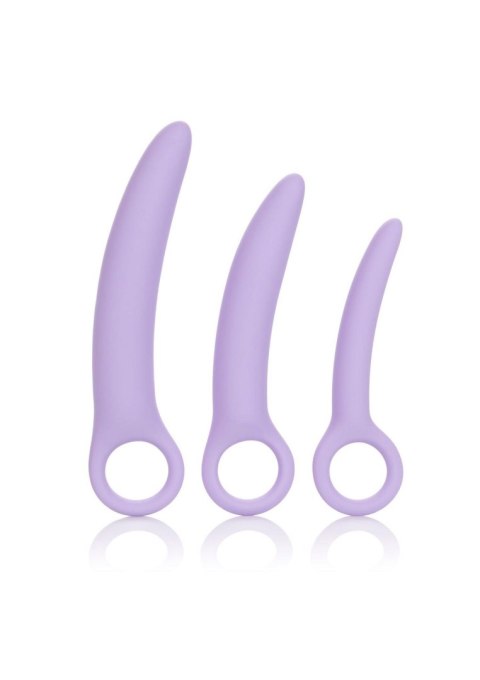 Alena Set of 3 Dilators Purple Alena Set of 3 Dilators Purple