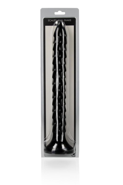 Scaled Anal Snake - 12''/ 30 cm Scaled Anal Snake - 12''/ 30 cm