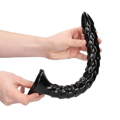 Scaled Anal Snake - 12''/ 30 cm Scaled Anal Snake - 12''/ 30 cm