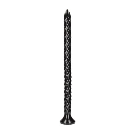 Scaled Anal Snake - 20''/ 50 cm Scaled Anal Snake - 20''/ 50 cm