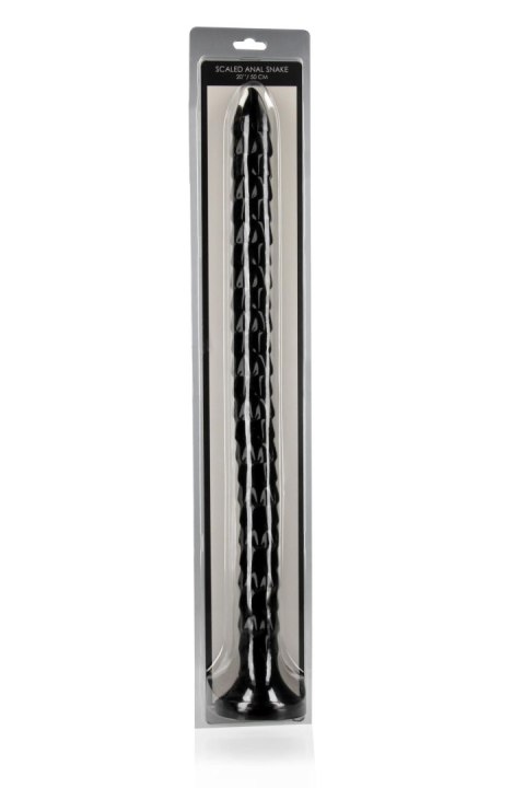 Scaled Anal Snake - 20''/ 50 cm Scaled Anal Snake - 20''/ 50 cm