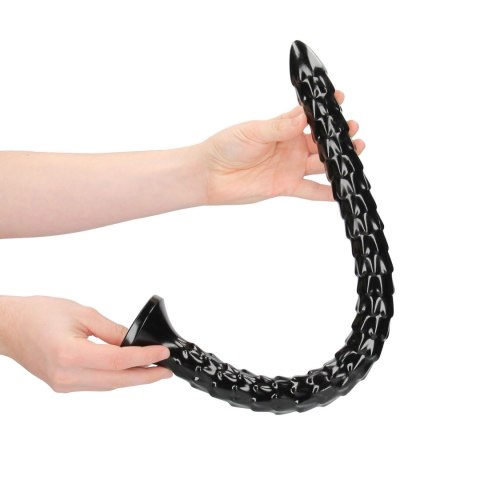 Scaled Anal Snake - 20''/ 50 cm Scaled Anal Snake - 20''/ 50 cm