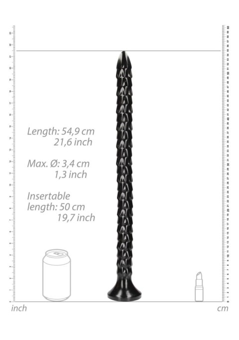 Scaled Anal Snake - 20''/ 50 cm Scaled Anal Snake - 20''/ 50 cm