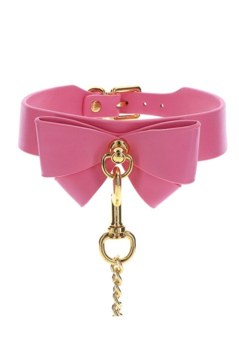 Collar and Leash Pink Collar and Leash Pink