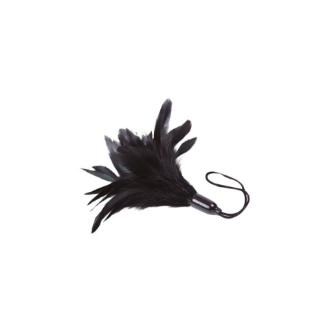 Adrien Lastic Feather Tickler Black - Prestiżowe Pióra Adrien Lastic Feather Tickler Black - Prestiżowe Pióra