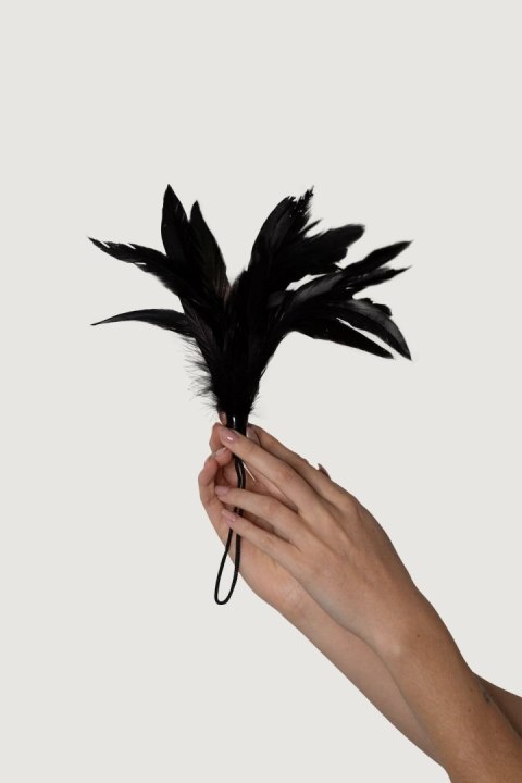 Adrien Lastic Feather Tickler Black - Prestiżowe Pióra Adrien Lastic Feather Tickler Black - Prestiżowe Pióra
