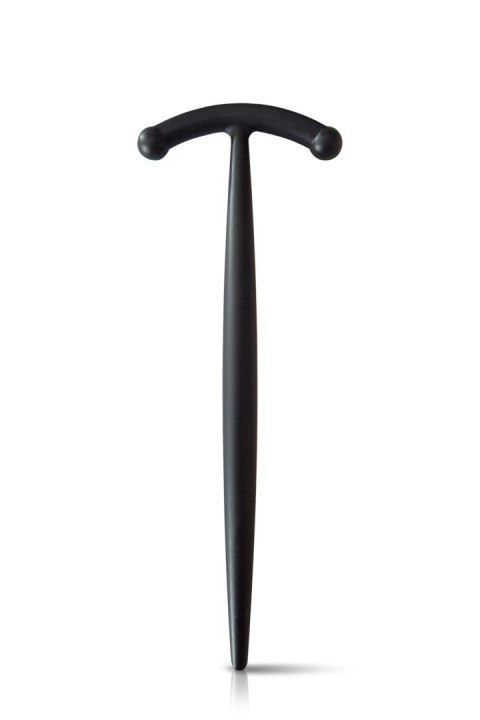 PENIS STICK TAILLE 2 PENIS STICK TAILLE 2