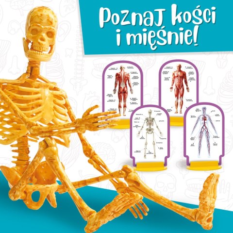 LISCIANI I"M A GENIUS POZNAJ CIAŁO CZŁOWIEKA LISCIANI I"M A GENIUS POZNAJ CIAŁO CZŁOWIEKA