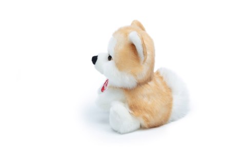 TRUDI FLUFFIES AKITA TRUDI FLUFFIES AKITA