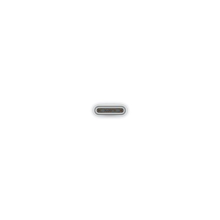 Apple | USB-C cable | Male | 24 pin USB-C | Male | 24 pin USB-C | 1 m Apple | USB-C cable | Male | 24 pin USB-C | Male | 24 pin USB-C | 1 m