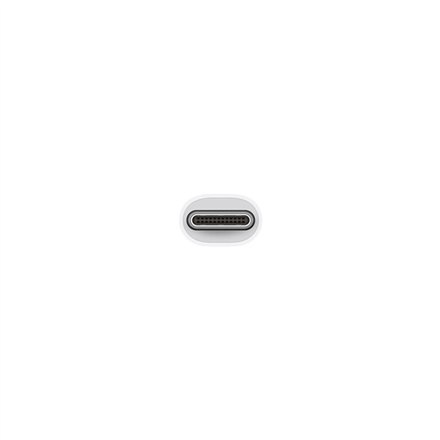 Female | 4 pin USB Type A | 19 pin HDMI Type A | 24 pin USB-C (power only) | Male | 24 pin USB-C | White Female | 4 pin USB Type A | 19 pin HDMI Type A | 24 pin USB-C (power only) | Male | 24 pin USB-C | White