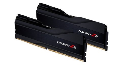 G.Skill 32 GB DDR5 5600 MHz PC/server Registered No ECC No G.Skill 32 GB DDR5 5600 MHz PC/server Registered No ECC No