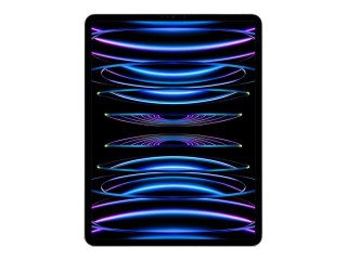 IPad Pro 12.9" Wi-Fi + Cellular 256GB - Silver 6th Gen | Apple