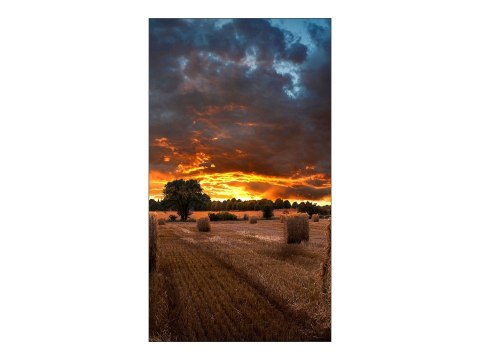 Samsung | VM55B-U | 55 " | Landscape/Portrait | 24/7 | N/A | 500 cd/m² | 8 ms | 178 ° | 178 ° Samsung | VM55B-U | 55 " | Landscape/Portrait | 24/7 | N/A | 500 cd/m² | 8 ms | 178 ° | 178 °