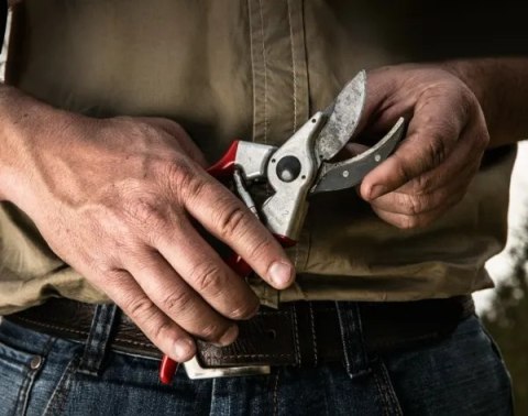 Sekatorius FELCO 2 | Felco Sekatorius FELCO 2 | Felco