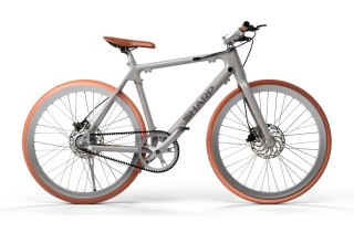 Sharp Hybrid E-Bike | 250 W | 21 " | 24 miesiące | Srebrny