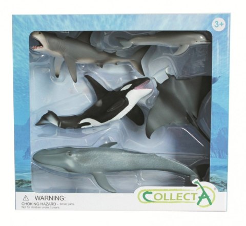COLLECTA ZESTAW 5 ZWIERZĄT MORSKICH W OPAKOWANIU COLLECTA ZESTAW 5 ZWIERZĄT MORSKICH W OPAKOWANIU