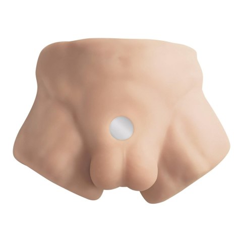 Apollo S Half Male Torso Flesh Apollo S Half Male Torso Flesh