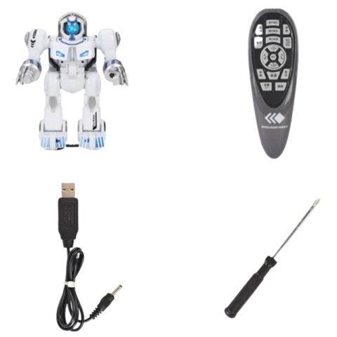 ROBOT INTERAKTYWNY ZDALNIE STEROWANY TAŃCZY MUZYKA PILOT PROGRAMOWALNY
