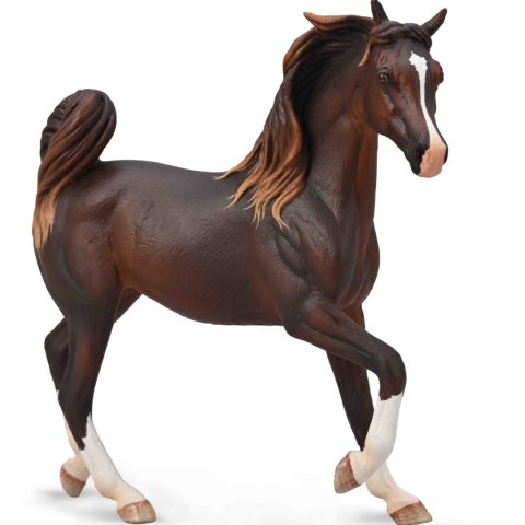 COLLECTA ARABSKA KLACZ WĄTROBOWA COLLECTA ARABSKA KLACZ WĄTROBOWA