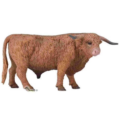 COLLECTA BYK SZKOCKIEJ RASY WYŻYNNEJ COLLECTA BYK SZKOCKIEJ RASY WYŻYNNEJ