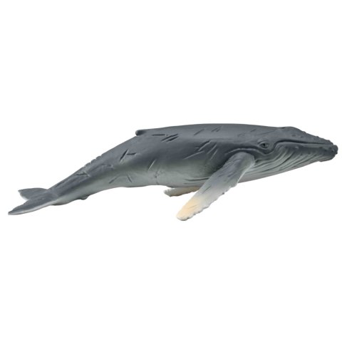COLLECTA HUMBAK MŁODY COLLECTA HUMBAK MŁODY