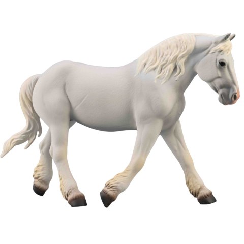 COLLECTA KLACZ BOULONNAIS MAŚCI SZAREJ COLLECTA KLACZ BOULONNAIS MAŚCI SZAREJ