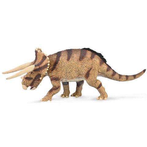 COLLECTA TRICERATOPS HORRIDUS W STARCIU COLLECTA TRICERATOPS HORRIDUS W STARCIU