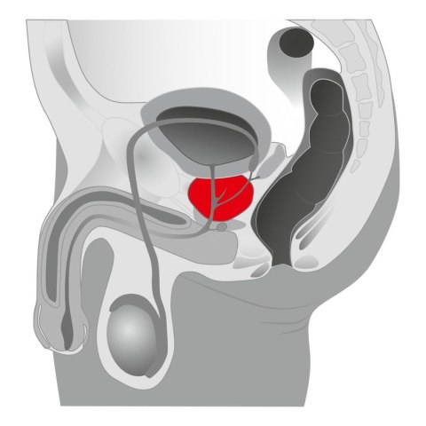 Masażer prostaty i krocza męski korek analny sex Masażer prostaty i krocza męski korek analny sex